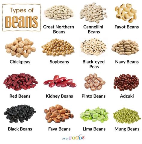 Magic Beans: A Superfood for Healthy Aging
